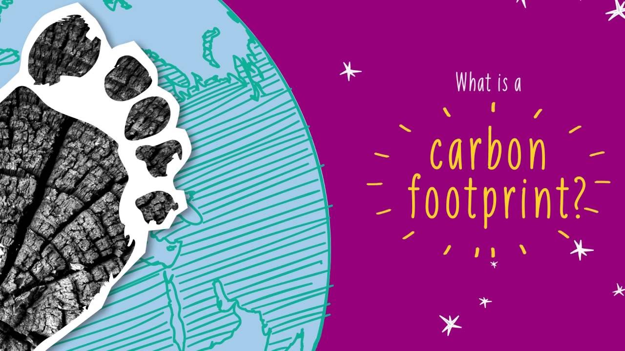 Some of the Common Carbon Footprint Examples