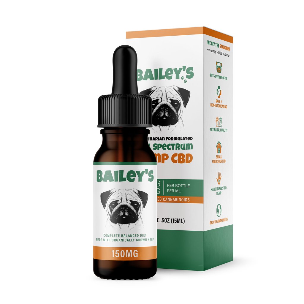 Have Many Benefits By Knowing What To Know About CBD For Dogs And What To Buy?