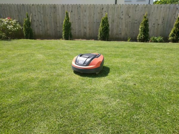 Some Crucial Features of a Robotic Lawn Mower